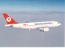 A310.jpg (9934 bytes)